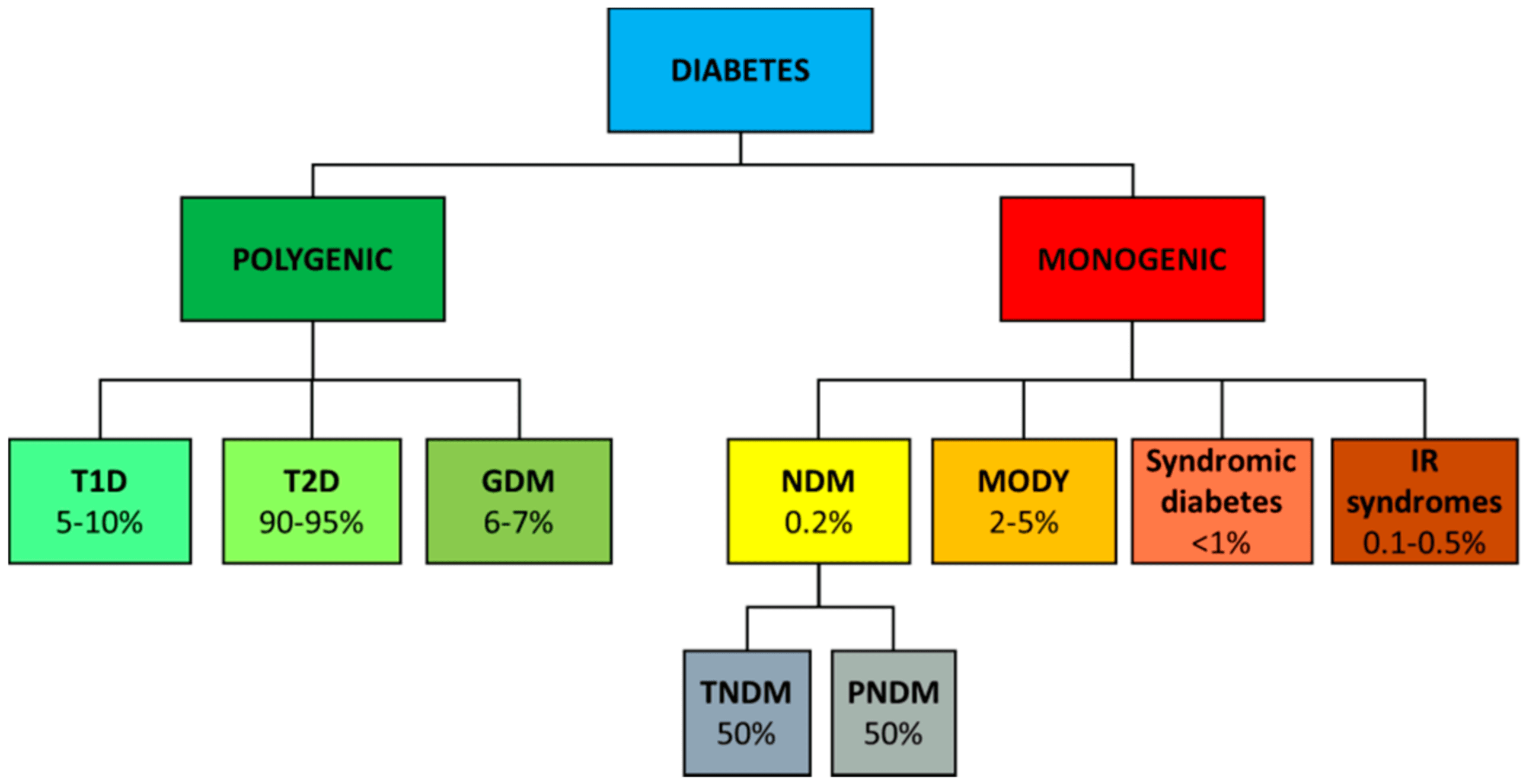 Polygenic determinants of monogenic diabetes
